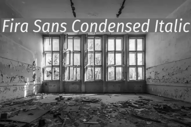Fira Sans Condensed Italic Font examples