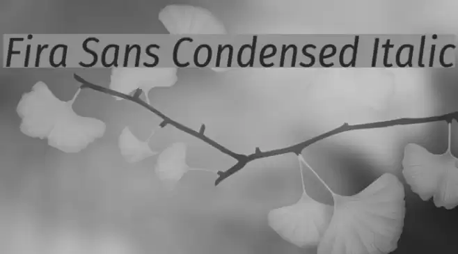Fira Sans Condensed Italic Font examples