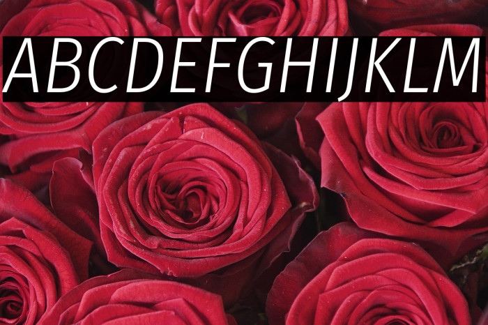 Fira Sans Condensed Light Italic Example 1