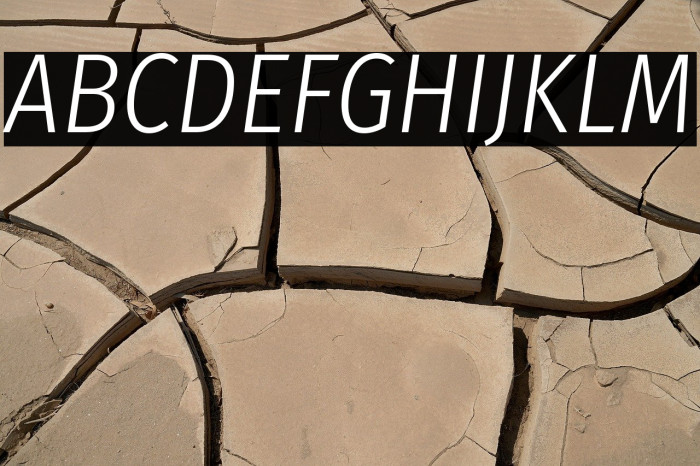 Fira Sans Condensed Light Italic Example 3