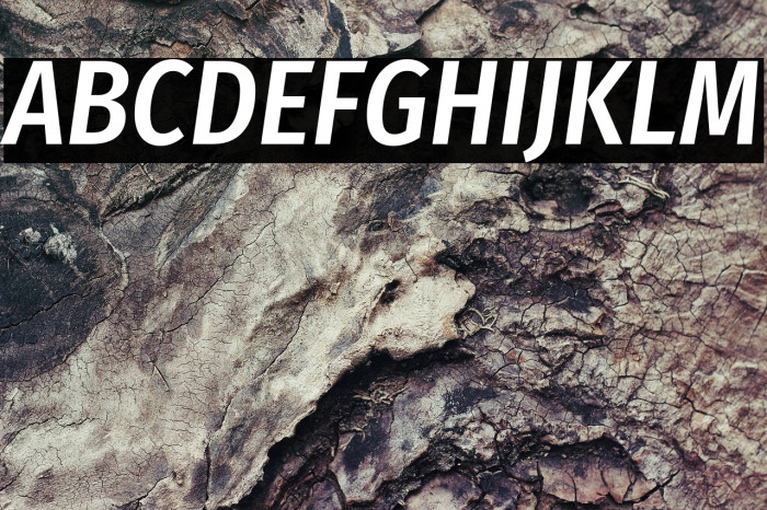 Fira Sans Condensed Medium Italic Example 1