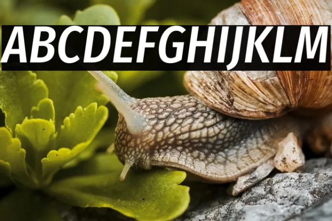 Fira Sans Condensed Medium Italic Example 2