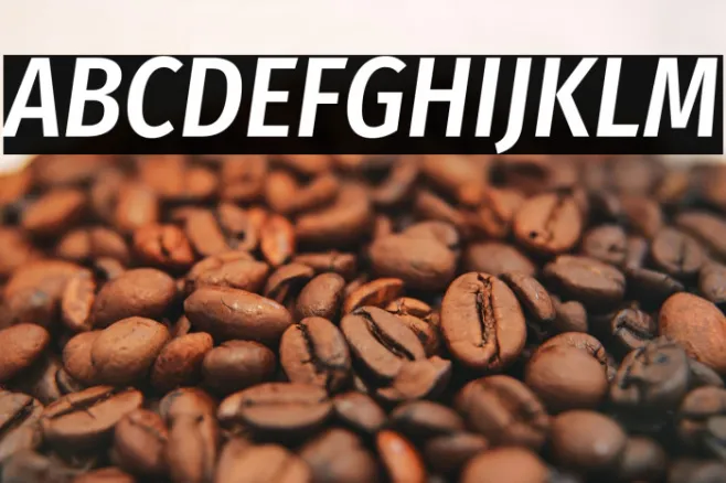 Fira Sans Condensed Medium Italic Example 3