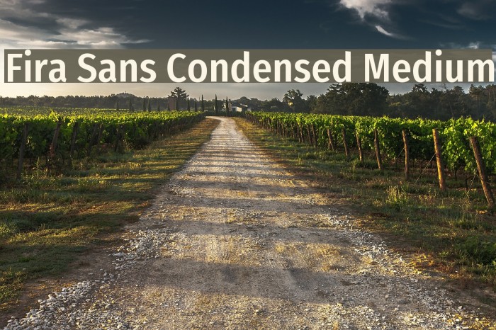 Fira Sans Condensed Medium Font examples