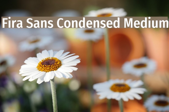 Fira Sans Condensed Medium Font examples