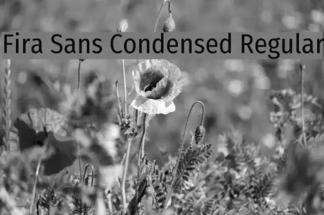 Fira Sans Condensed Regular Font examples
