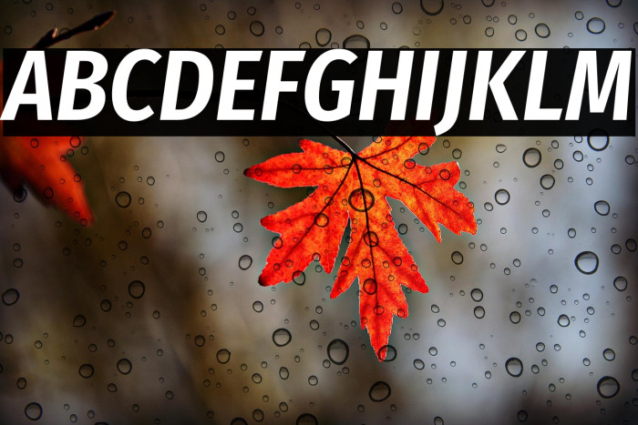 Fira Sans Condensed SemiBold Italic Example 2