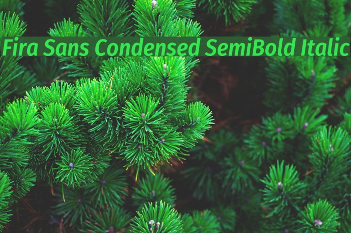 Fira Sans Condensed SemiBold Italic Font examples