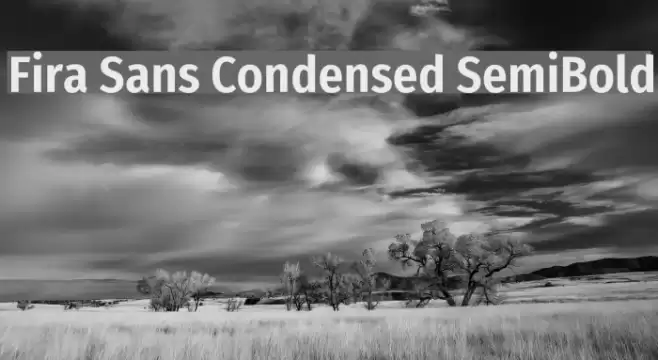 Fira Sans Condensed SemiBold Font examples