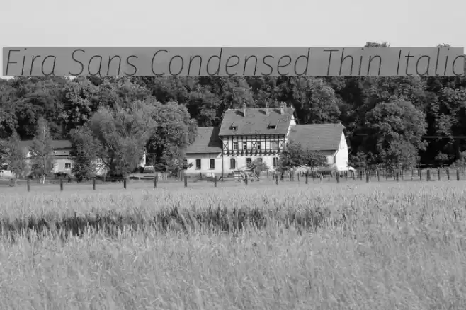 Fira Sans Condensed Thin Italic Font examples