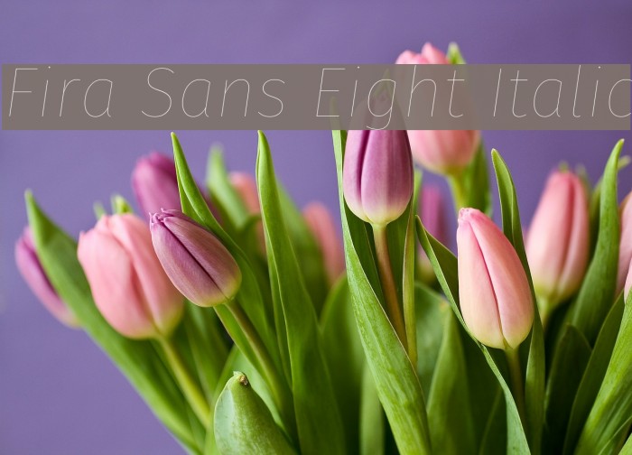 Fira Sans Eight Italic Font examples