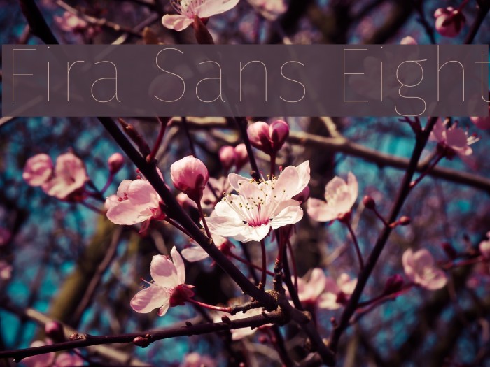 Fira Sans Eight Example 1