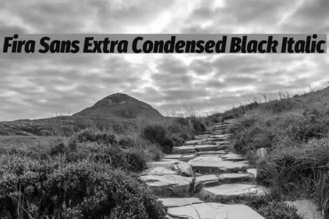 Fira Sans Extra Condensed Black Italic Font examples