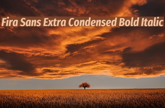 Fira Sans Extra Condensed Bold Italic Font examples