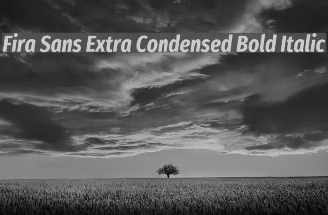 Fira Sans Extra Condensed Bold Italic  examples