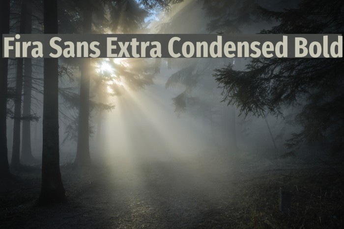 Fira Sans Extra Condensed Bold Example 1