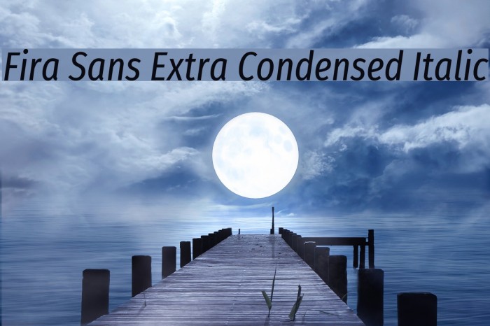 Fira Sans Extra Condensed Italic Font examples