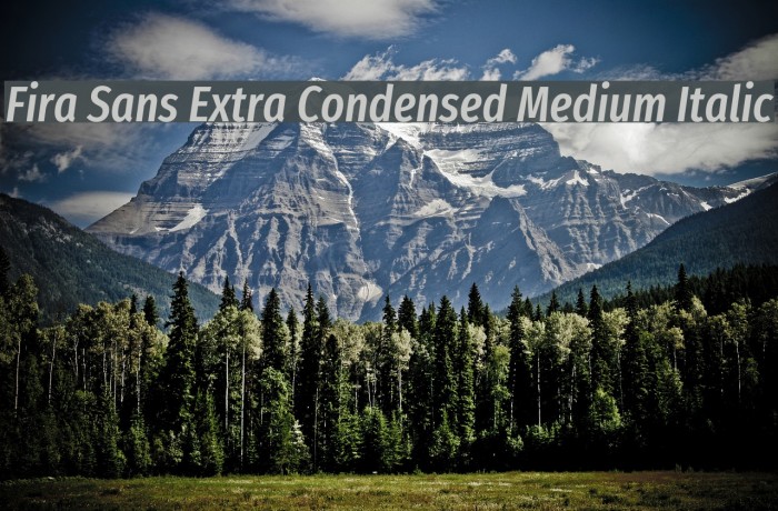 Fira Sans Extra Condensed Medium Italic Font examples