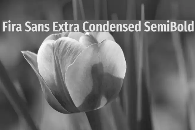 Fira Sans Extra Condensed SemiBold Schriftart examples
