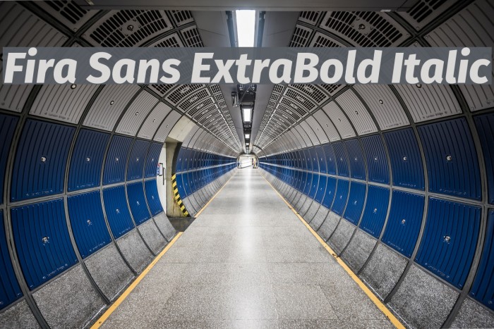 Fira Sans ExtraBold Italic Font examples