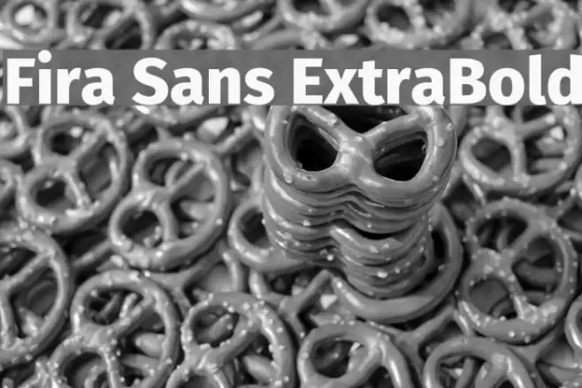 Fira Sans ExtraBold Font examples