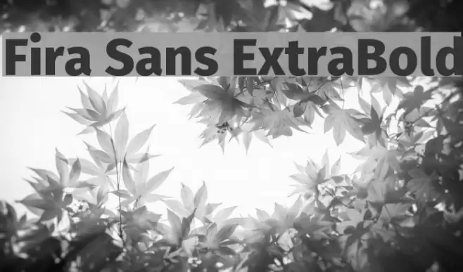 Fira Sans ExtraBold Font examples