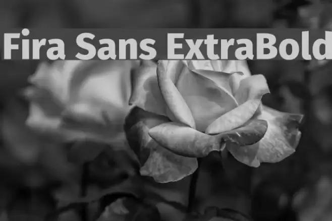 Fira Sans ExtraBold Font examples