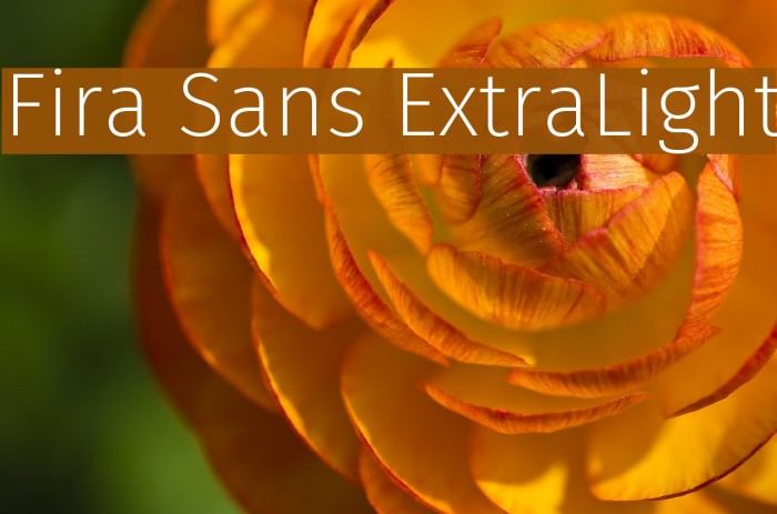 Fira Sans ExtraLight Font examples