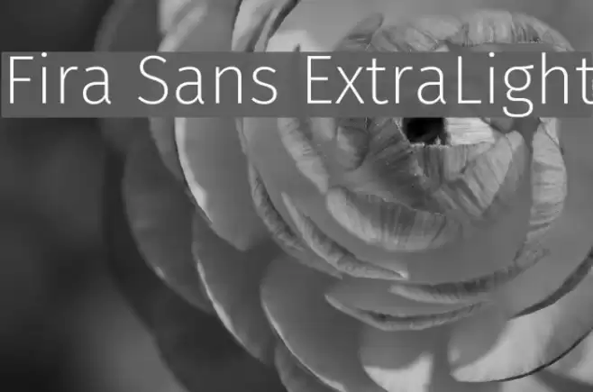 Fira Sans ExtraLight  examples