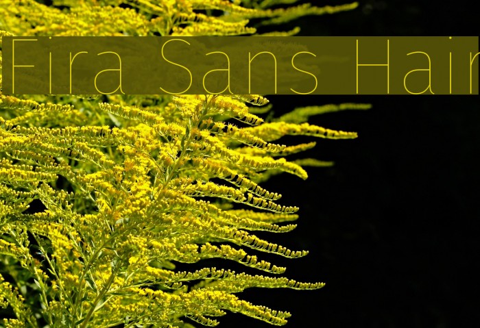 Fira Sans Hair Font examples