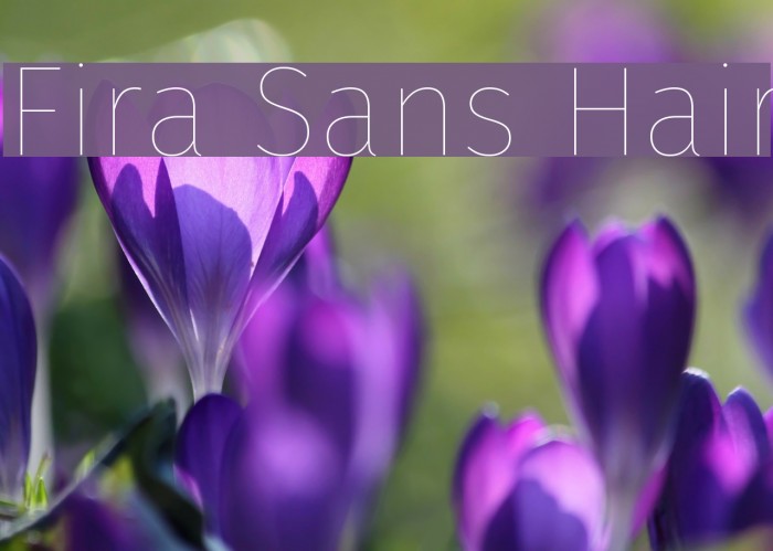 Fira Sans Hair Font examples