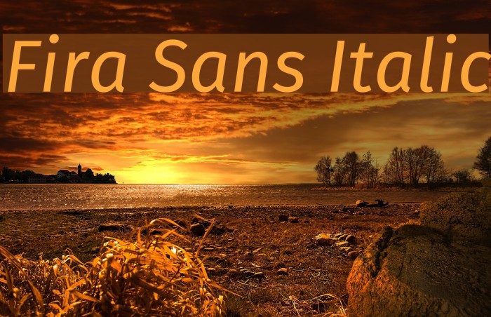 Fira Sans Italic フォント examples