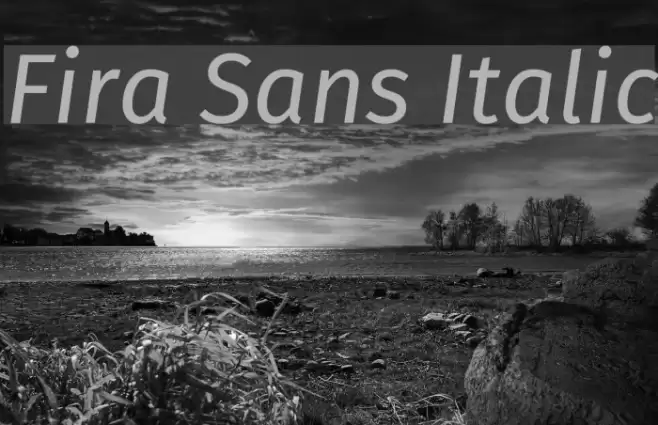 Fira Sans Italic フォント examples