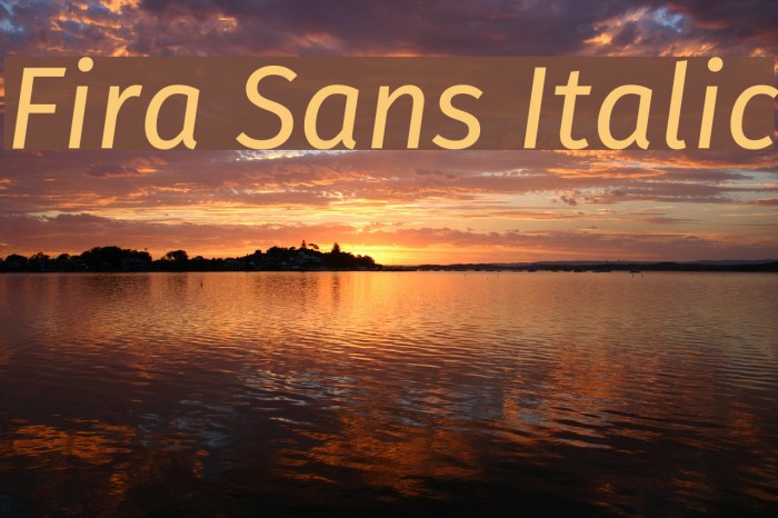 Fira Sans Italic フォント examples