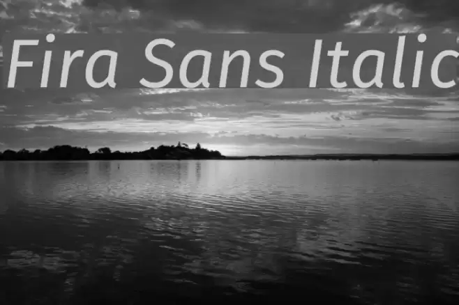 Fira Sans Italic フォント examples