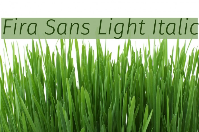 Fira Sans Light Italic Font examples