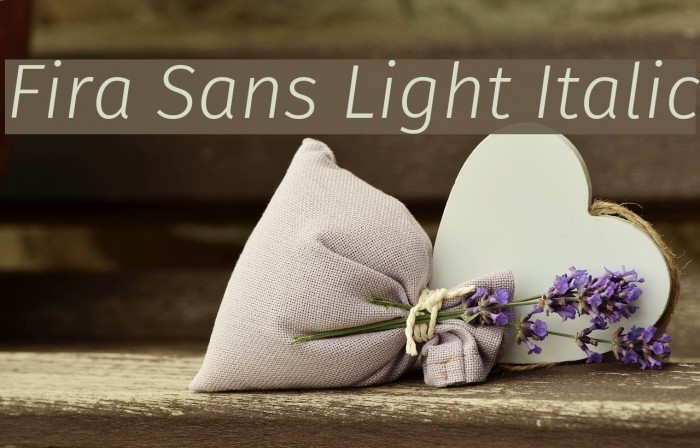 Fira Sans Light Italic Font examples
