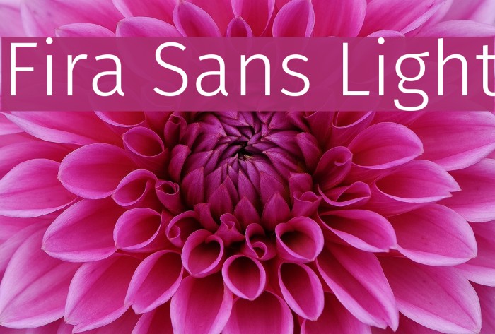 Fira Sans Light Font examples
