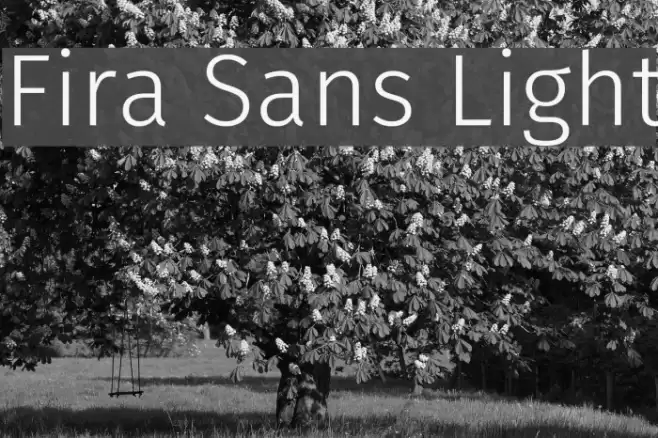 Fira Sans Light  examples