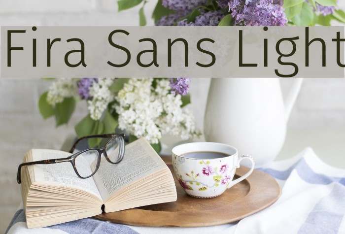 Fira Sans Light Font examples