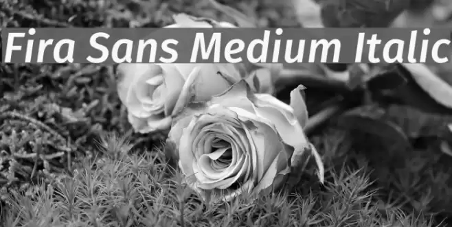 Fira Sans Medium Italic  examples