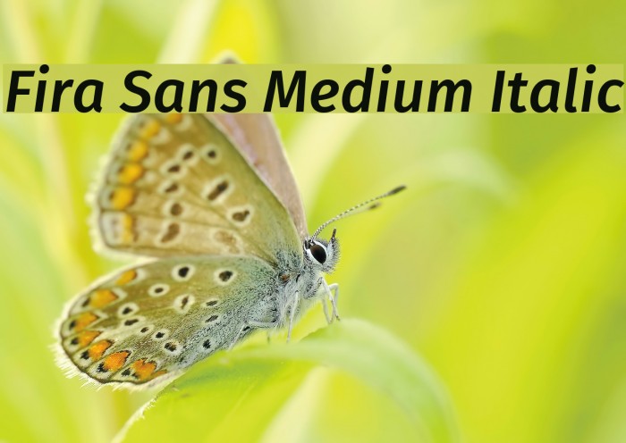 Fira Sans Medium Italic Font examples