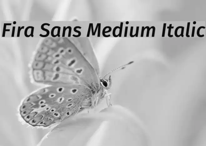 Fira Sans Medium Italic  examples