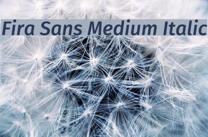 Fira Sans Medium Italic Font examples