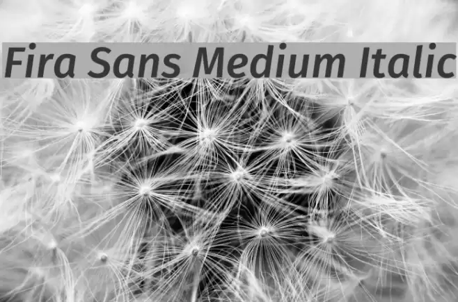 Fira Sans Medium Italic  examples