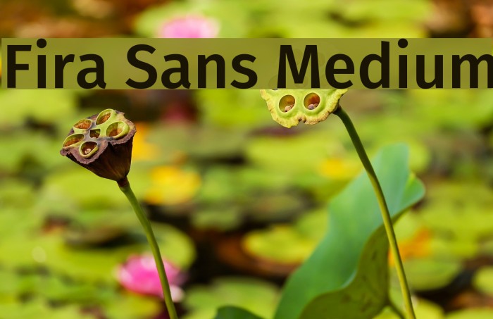 Fira Sans Medium फ़ॉन्ट examples