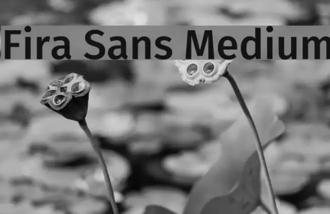 Fira Sans Medium फ़ॉन्ट examples