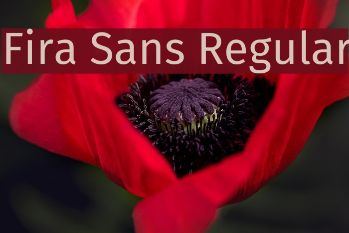 Fira Sans Regular Font examples