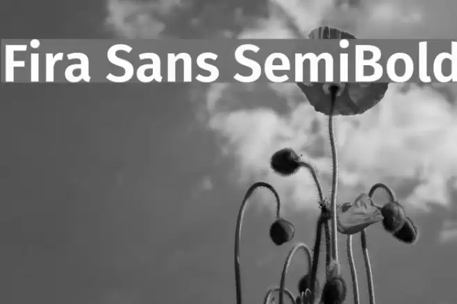 Fira Sans SemiBold Font examples