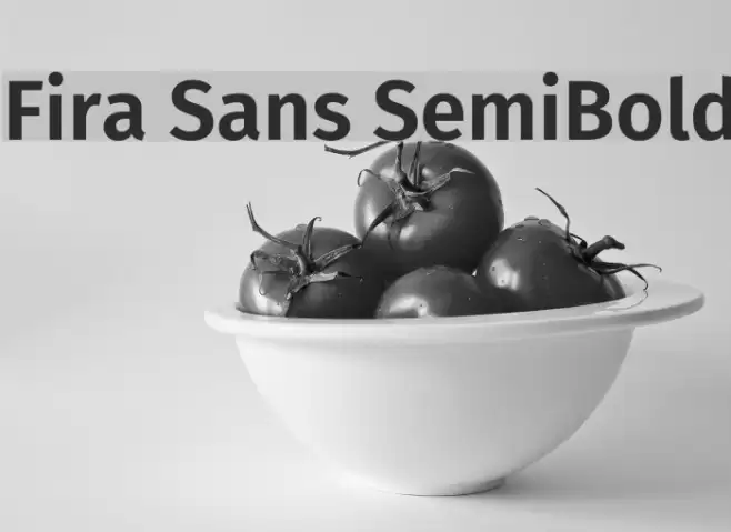 Fira Sans SemiBold Font examples
